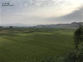 甘肃省,白银市,靖远县,双龙乡,义和村