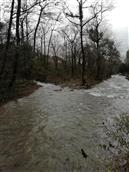 广西,桂林市,全州县,石塘镇,川溪村
