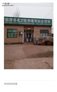 河北省,邯郸市,临漳县,习文乡,河图村