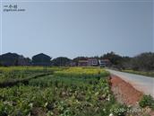 湖南省,株洲市,茶陵县,马江镇,浪滩村