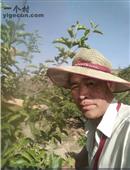 甘肃省,天水市,秦安县,西川镇,王峡村