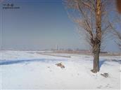 内蒙古,包头市,土默特右旗,萨拉齐镇,下榆树营子村