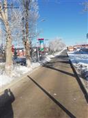 河北省,张家口市,康保县,屯垦镇,南井子村