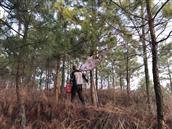 湖北省,黄冈市,武穴市,石佛寺镇,冯秀村