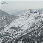 山东省,临沂市,平邑县,柏林镇,挑沟村