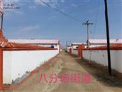 内蒙古,巴彦淖尔市,乌拉特前旗,巴彦淖尔市中滩农场,八分场村