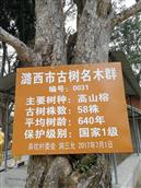 云南省,德宏州,芒市,遮放镇,弄坎村