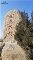 西苏庄村 