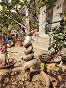 山东省,临沂市,沂水县,沙沟镇,侯家官庄村