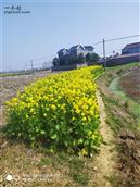 安徽省,六安市,金安区,双河镇,雨淋岗村