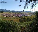 小寨子村 小寨子村鸟瞰图。拍摄于2918年9月19日。
