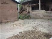 重庆市,忠县,石宝镇,晨溪村