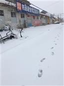 东吕标村 疫情期间的大雪