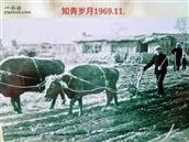 辽宁省,铁岭市,昌图县,平安堡镇,新兴村