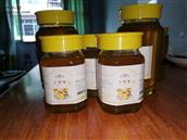 铜瓦村 土蜂蜜