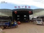 山东省,枣庄市,滕州市,张汪镇,渊子崖村