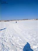白灵淖村 疫情期皑皑白雪覆盖着门前的湖泊