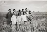苏独仑村 1976年6月麦地里的苏独仑公社下乡知青