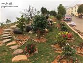 福建省,南平市,延平区,洋后镇,后坪村