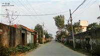 杨庄村 