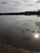 湖北省,黄冈市,黄州区,陶店乡,孙镇村