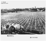 内蒙古,呼伦贝尔市,扎兰屯市,大河湾镇,火车头村