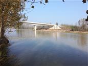 马集村 洙水河桥