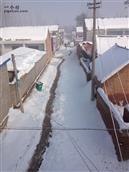 温寨村 美丽雪景