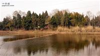 四川省,资阳市,雁江区,新场乡,油草堰村