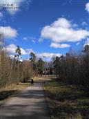 大高家庄村     瑞典伊斯拉维德市散步随拍（2020.3.22）