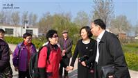 石龙岗村 2017年春上海知青刘群等来到离开48年的墩集镇，曹艳镇长和知青亲切交谈。