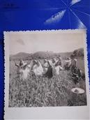 路东村 此图是1968年南宁六中学生扦队到路东大队留肖小队的女扦青在稻田头照。