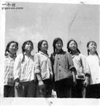 茹曲塬村 51年前茹曲塬村的北京知青六姐妹