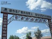 黑龙江省,齐齐哈尔市,依安县,依安农场,依安农场第一管理区