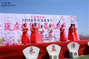 白鹿庄村 这是洛阳知青返乡芝术团参加2019桃花节的节目演出