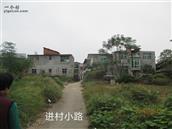 桂洲村 