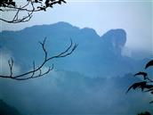 重庆市,南川区,头渡镇,前星村