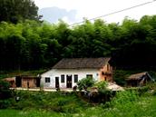 重庆市,南川区,头渡镇,前星村