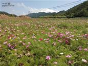 陕西省,宝鸡市,太白县,咀头镇,蒿谷堆村