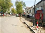 山东省,潍坊市,青州市,黄楼街道,鹁鸪王村