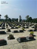 新云村 40年后重回广西边境，烈士陵园祭拜牺牲的战友！