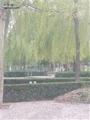 山西省,忻州市,原平市,东社镇,磨湾村