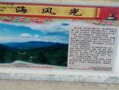 甘肃省,庆阳市,华池县,林镇乡,大凤川林场