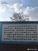 内蒙古,乌兰察布市,察哈尔右翼中旗,乌兰哈页苏木,苏力图村