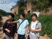 甘肃省,庆阳市,华池县,林镇乡,大凤川林场