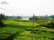 重庆市,永川区,陈食街道,长滩河村