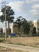 北京市,海淀区,苏家坨地区,前沙涧村