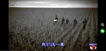 广西,南宁市,武鸣区,城厢镇,联兴村