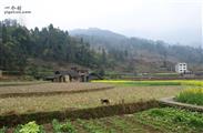 重庆市,石柱县,黄鹤乡,汪龙村