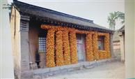 腰庄村 这是2012年国庆节到原插队腰庄(五队)书记番茂家后院拍的照片！